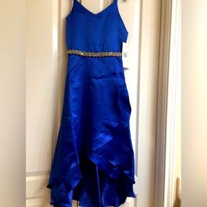 NWT! Rare Additions tween formal dress